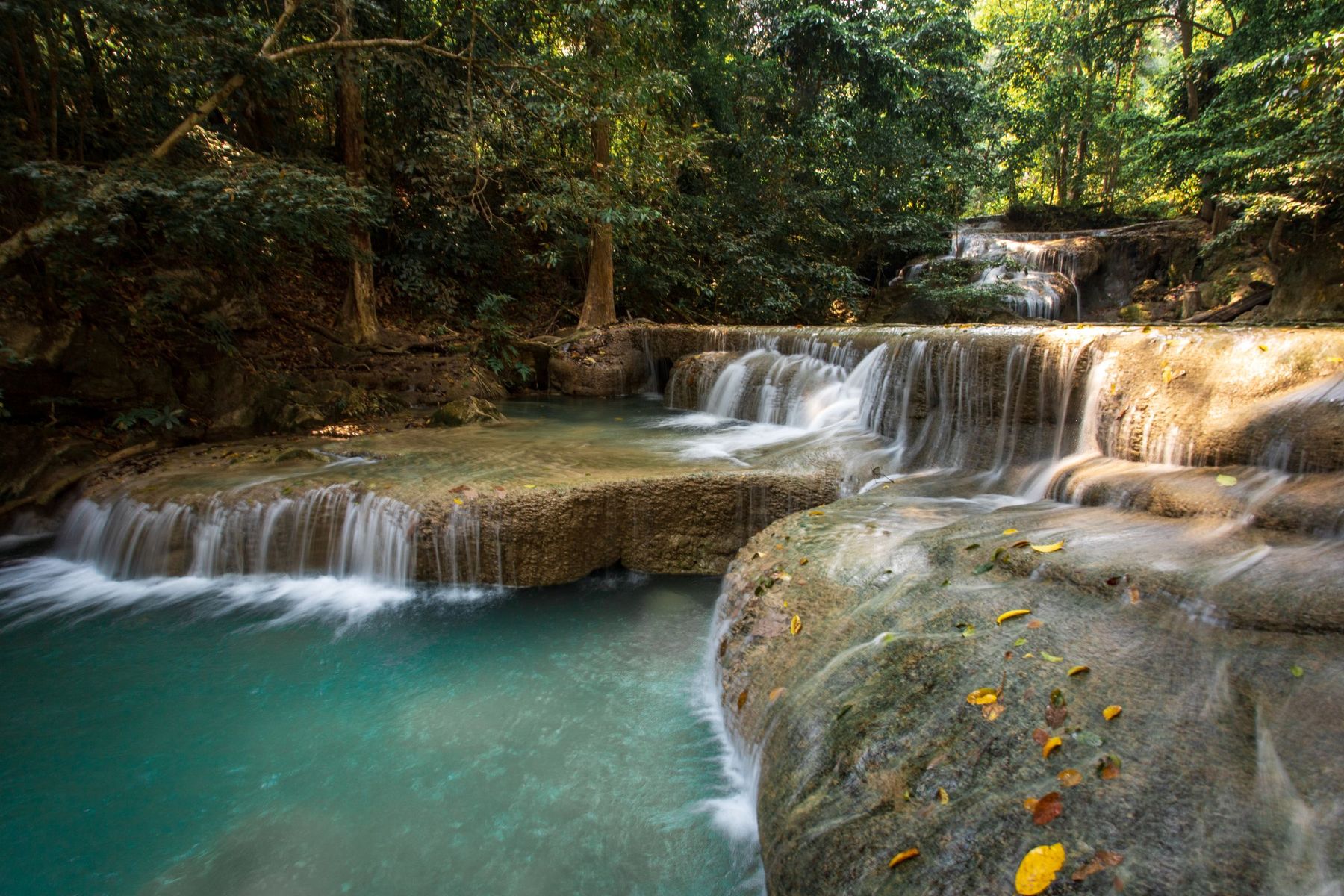 Water flowing over rocky steps into turquoise pools in a green forest