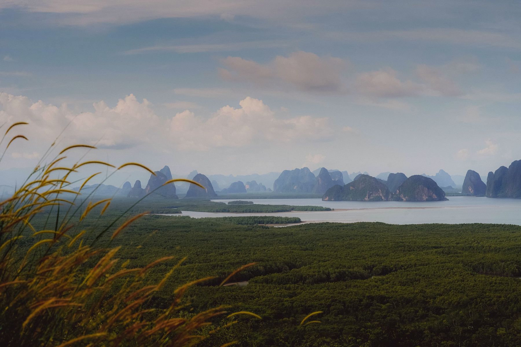 Limestone islands across Phang Nga Bay seen over grassland