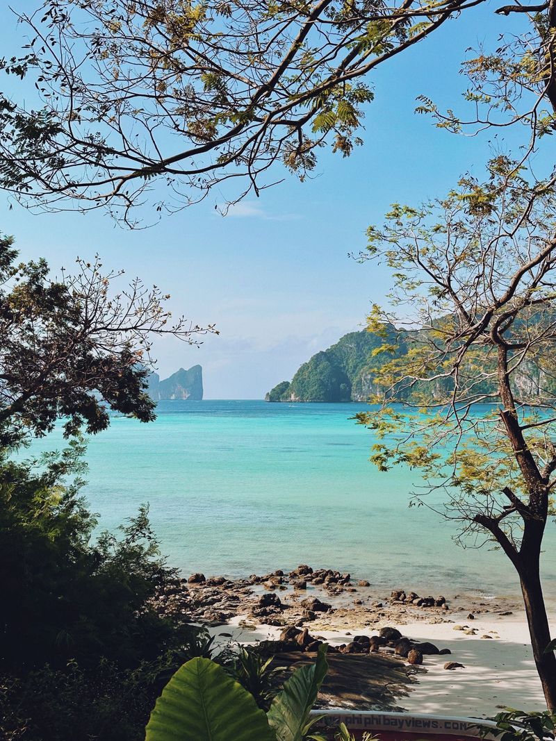 A turquoise bay seen through trees on a quiet beach