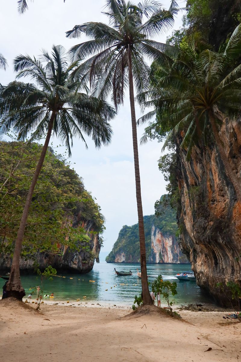 Palm trees and a sandy beach below towering cliffs