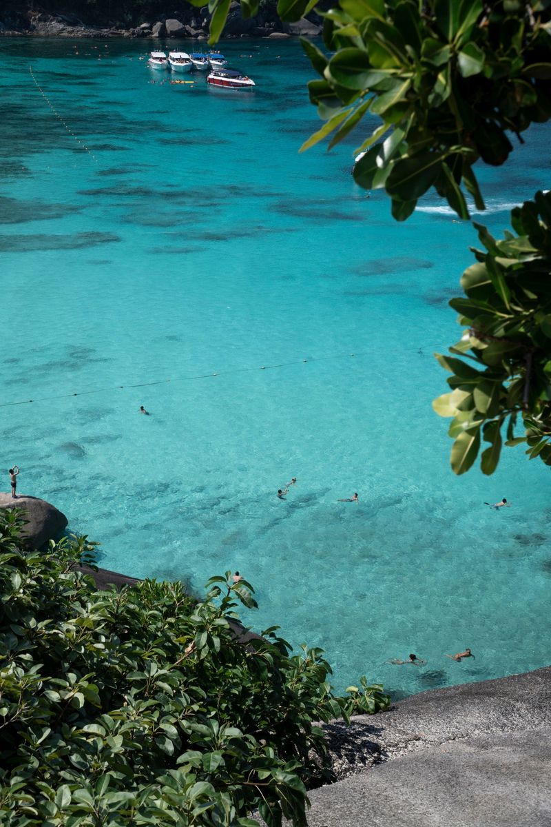 Clear turquoise water and green trees on a quiet beach