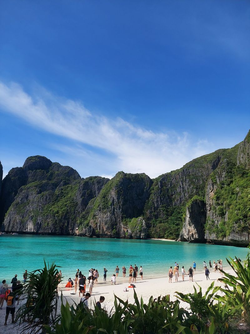Maya Bay's white sand and turquoise water below tall cliffs