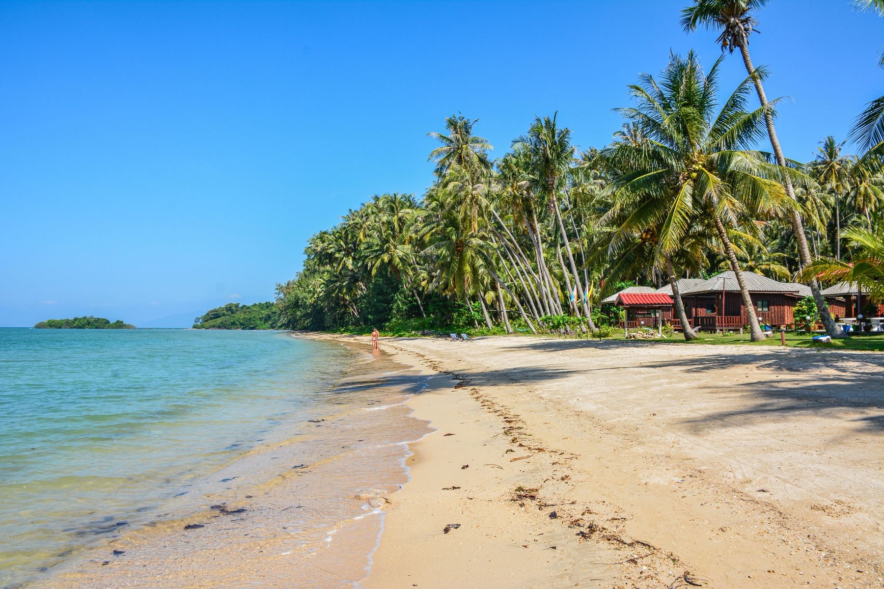 A quiet palm-lined beach with wooden bungalows on Koh Yao Noi