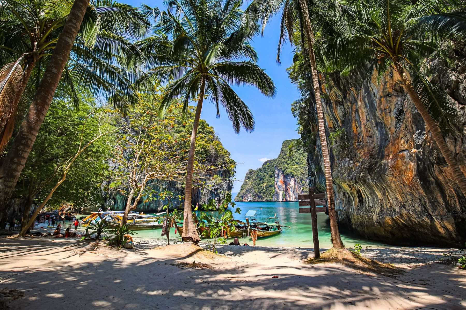 Palm trees and longtail boats on a beach below limestone cliffs in Krabi