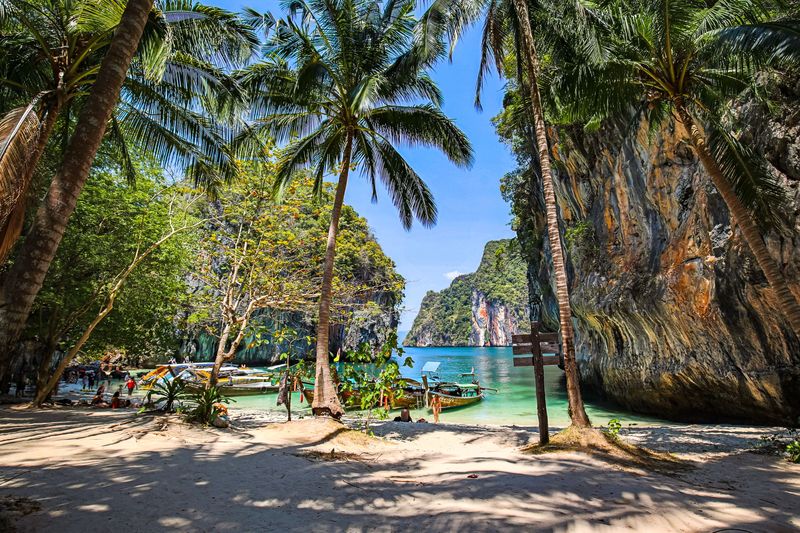 Palm trees and longtail boats on a beach below limestone cliffs in Krabi